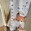 Renard
