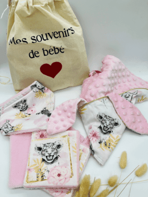Coffret cadeau bébé - doudou, bavoir et lingettes en stock
