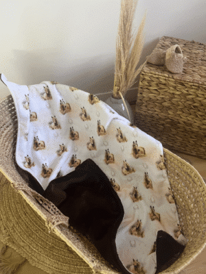 Plaid bébé 75x100 cm en doudou recto verso ultra doux. Léger, chaud et certifié Oeko-Tex. Lavable à 30°C. En stock, expédition sous 8 jours.