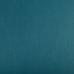 Bleu canard