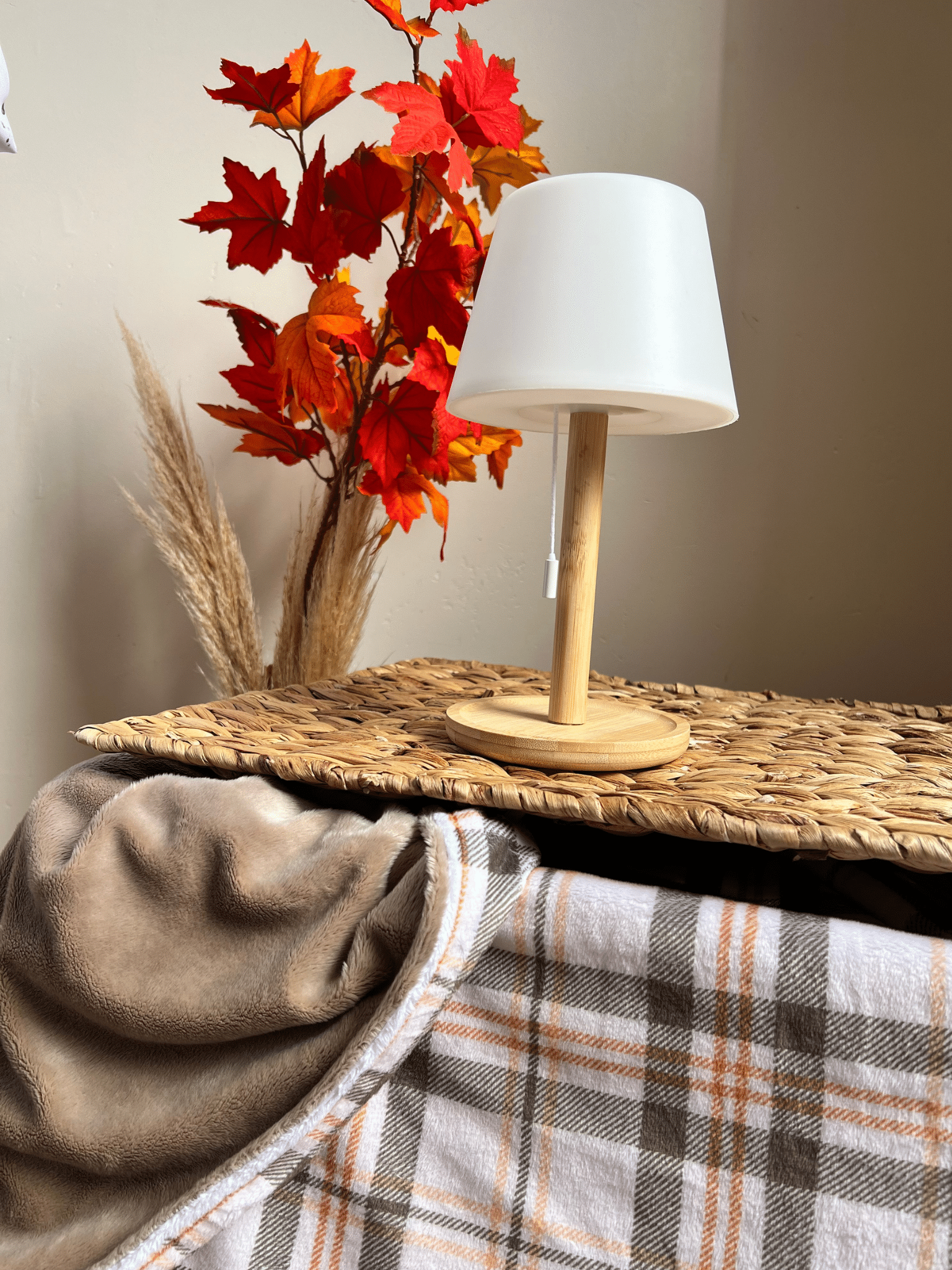 Plaid écossais d'automne 2026 – Image 3