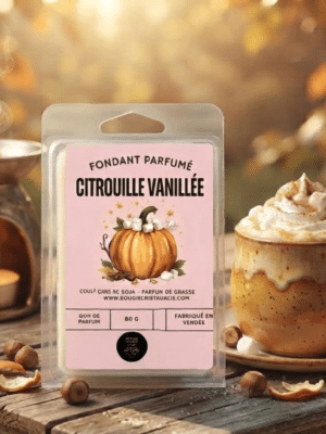 Découvrez nos fondants parfumés artisanaux d’automne : Pomme Cannelle, Citrouille Vanillée ou Halloween. Des senteurs gourmandes pour une maison cocooning.